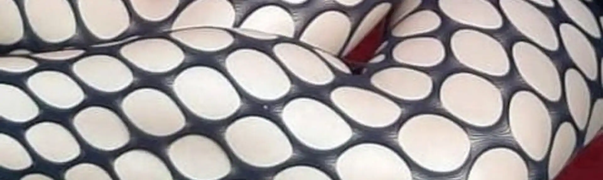 Banner 3274144414 Samantha 11186