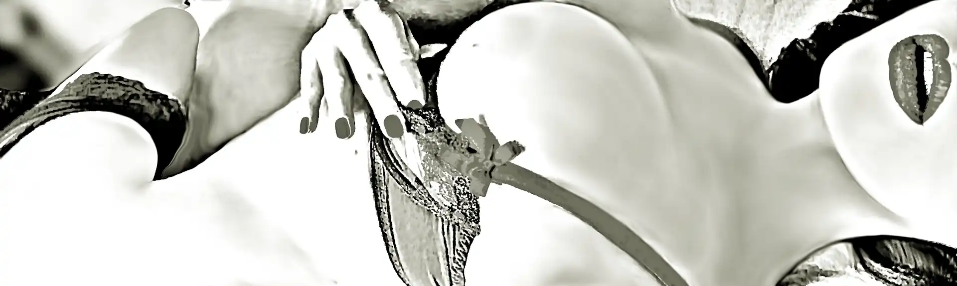 Banner 3461217565 CECIL LUX MATURE 33742