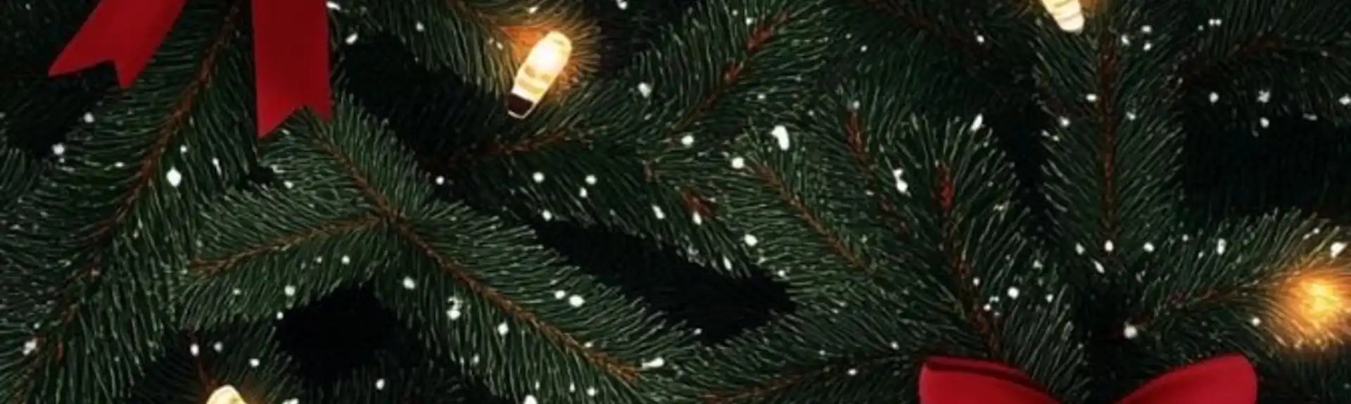 Banner 3314080763 Amanda Cherie 38095