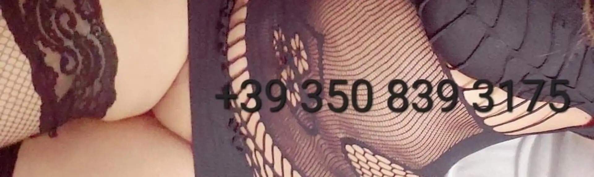 Banner 3508393175 Karen 39879