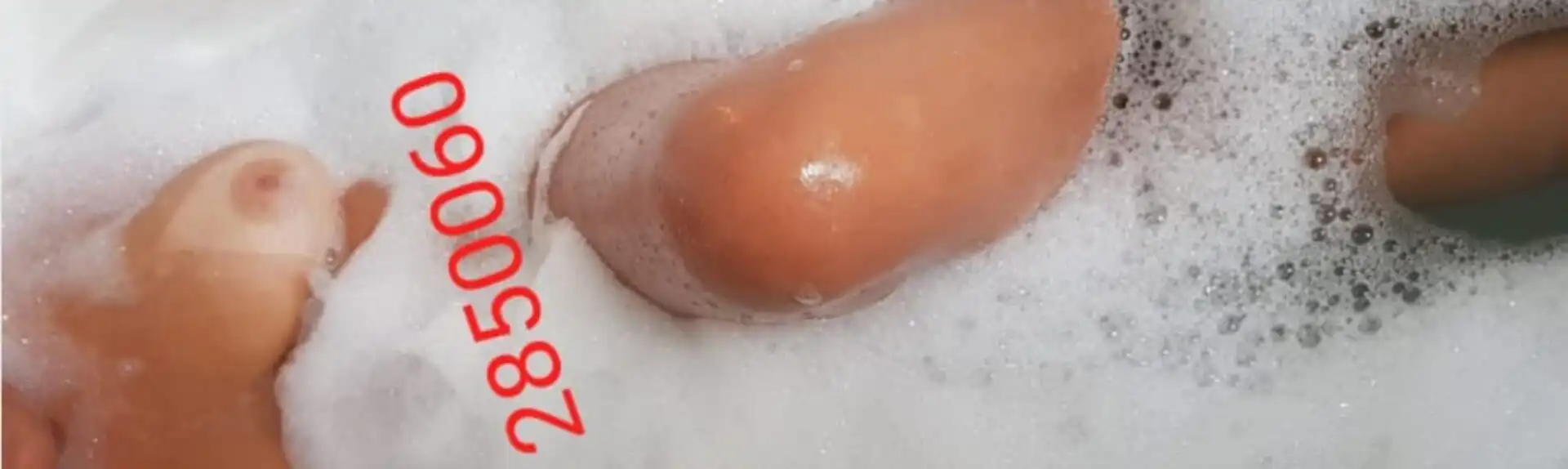 Banner 3662850060 Amanda 40580