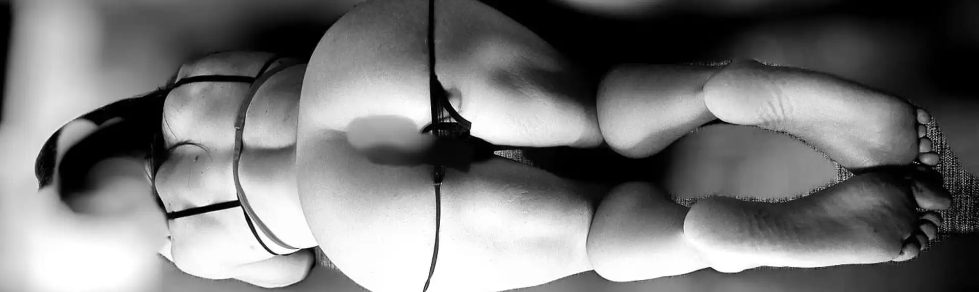 Banner 3883012211 Lavinia 40957