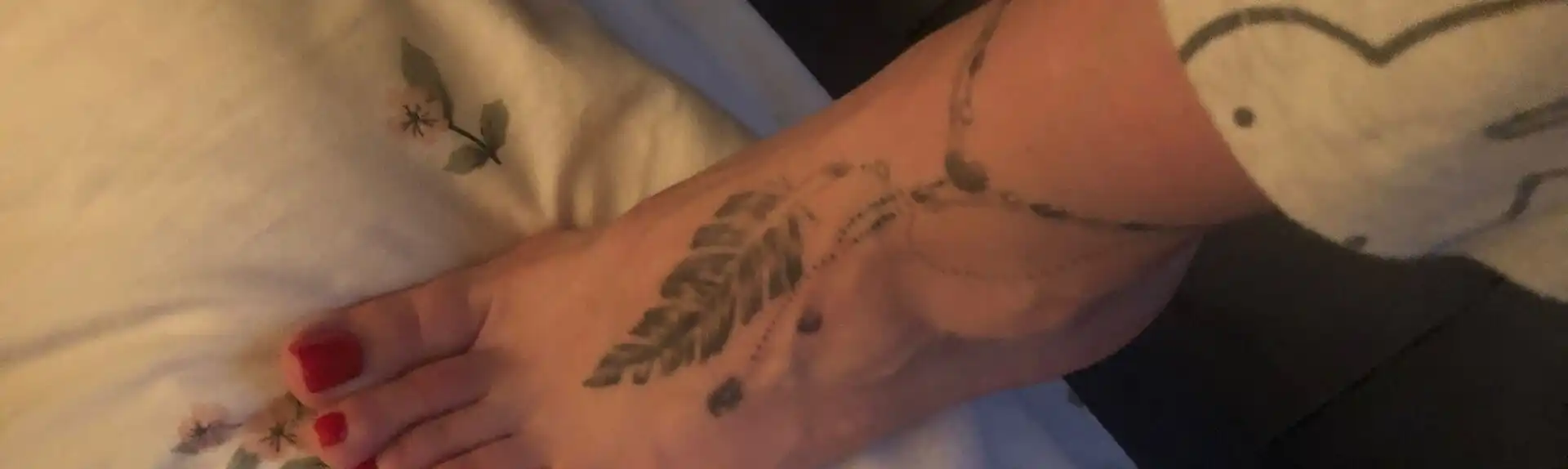 Banner 3508611399 Ivana 41194