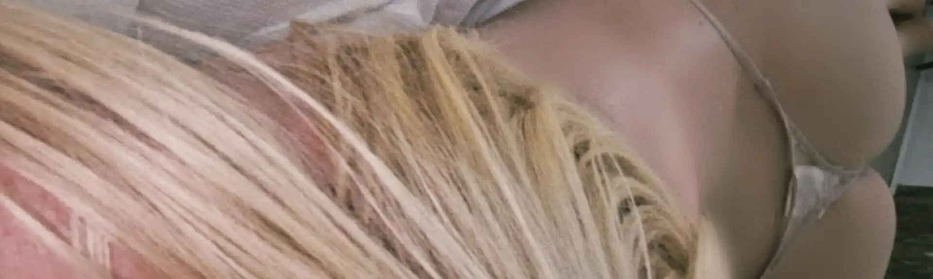 Banner 3508592467 Carolina 41215