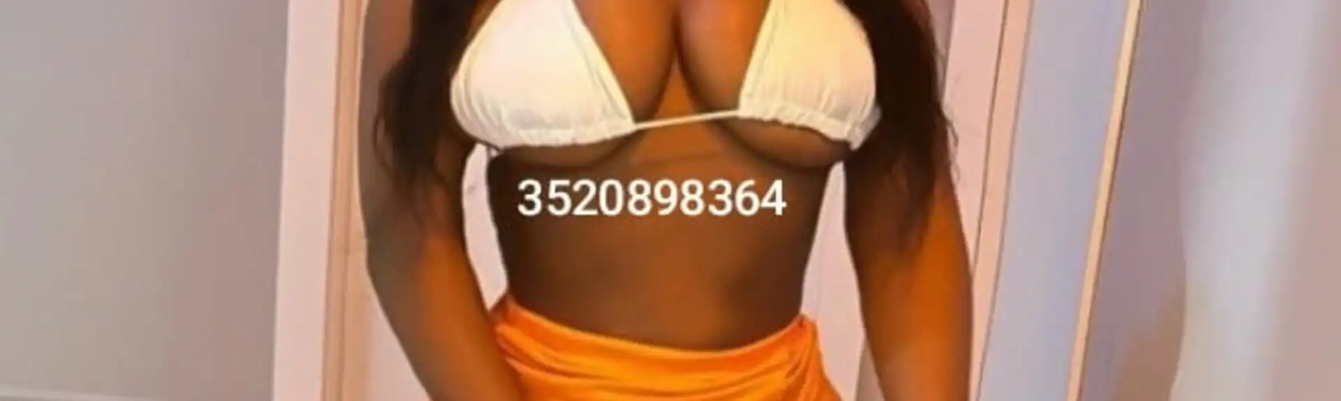 Banner 3520898364 Stefany 41279