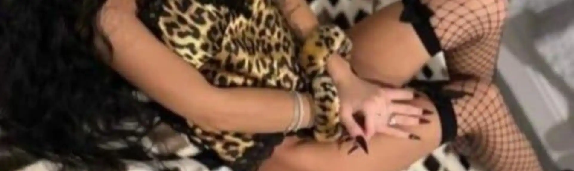 Banner 3925500116 Beatrys 48706