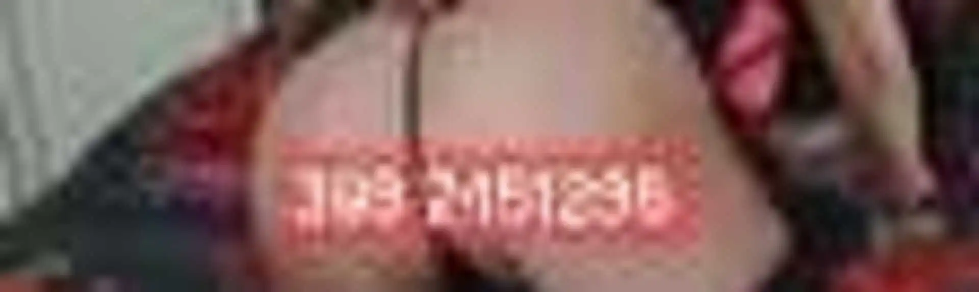 Banner 3932451238 Silvia 50254