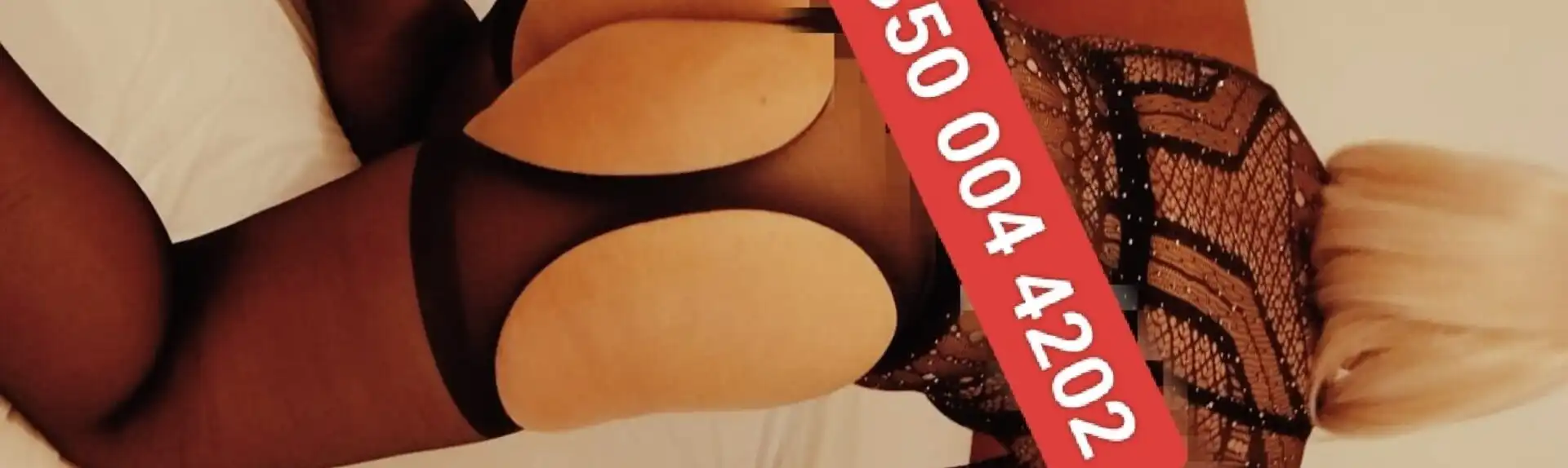 Banner 3500044202 Paola 53807