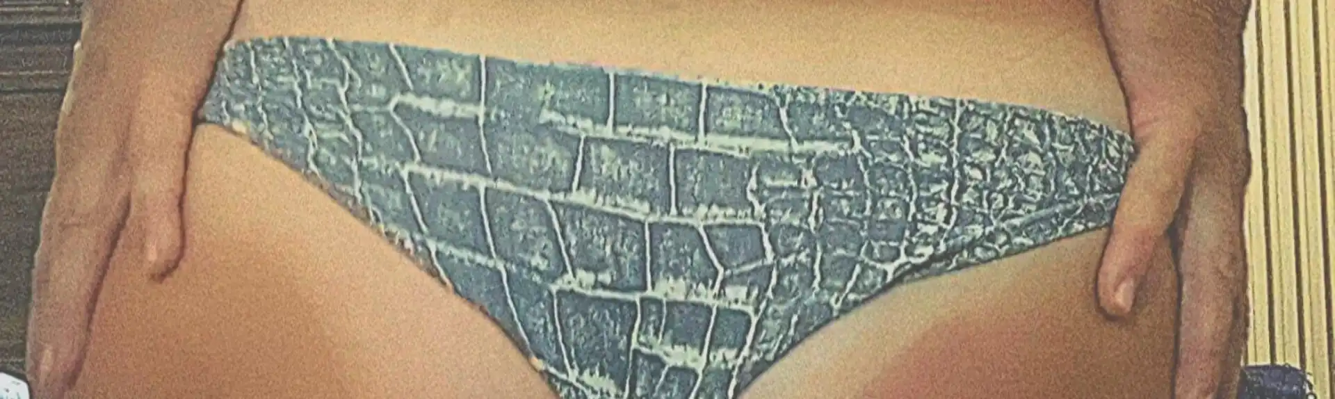 Banner 3894582426 Elena 54450