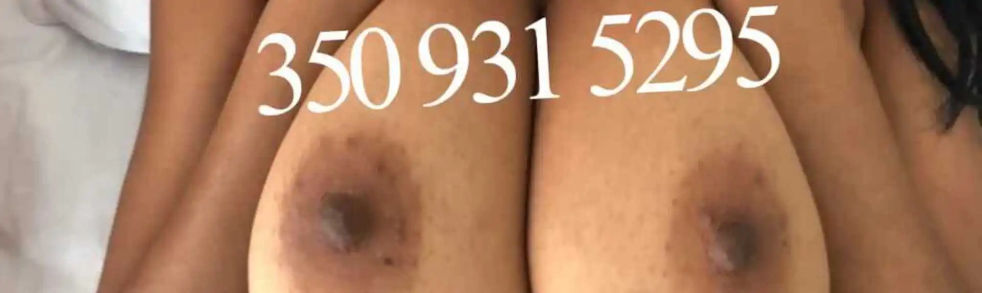 Banner 3509617934 Perla 59228