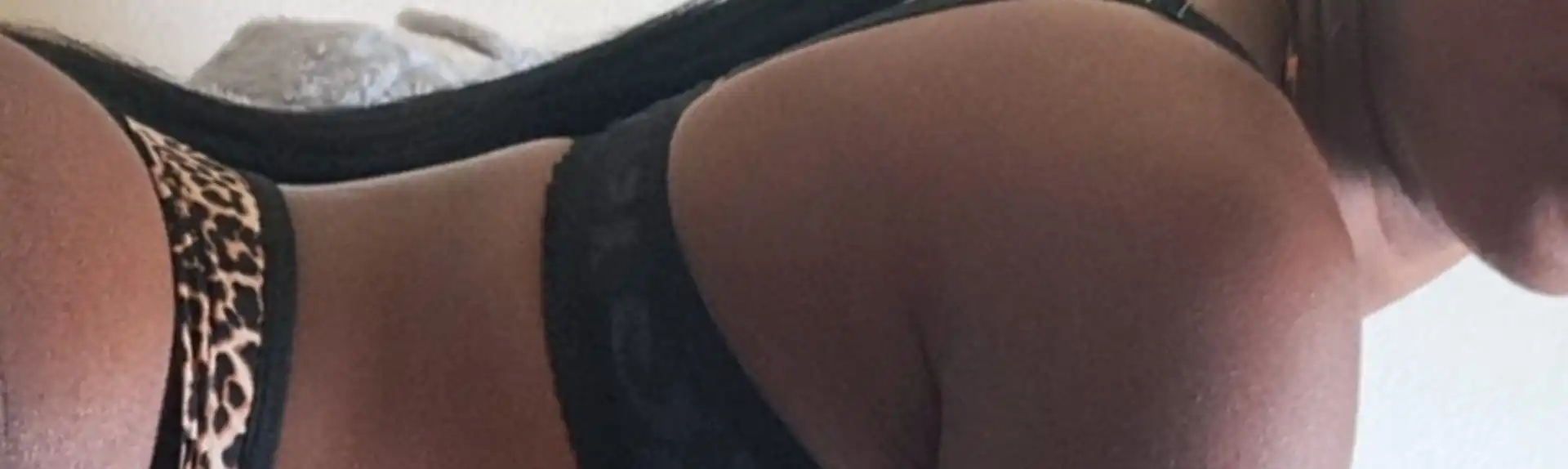 Banner 3520740765 Dani 62049