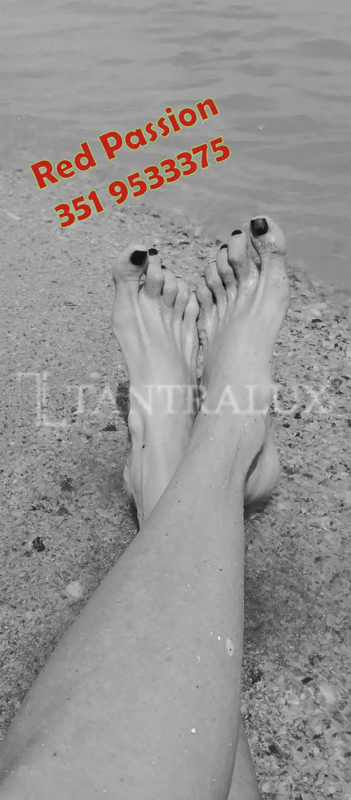 Storia Rachele Red Passion 14196
