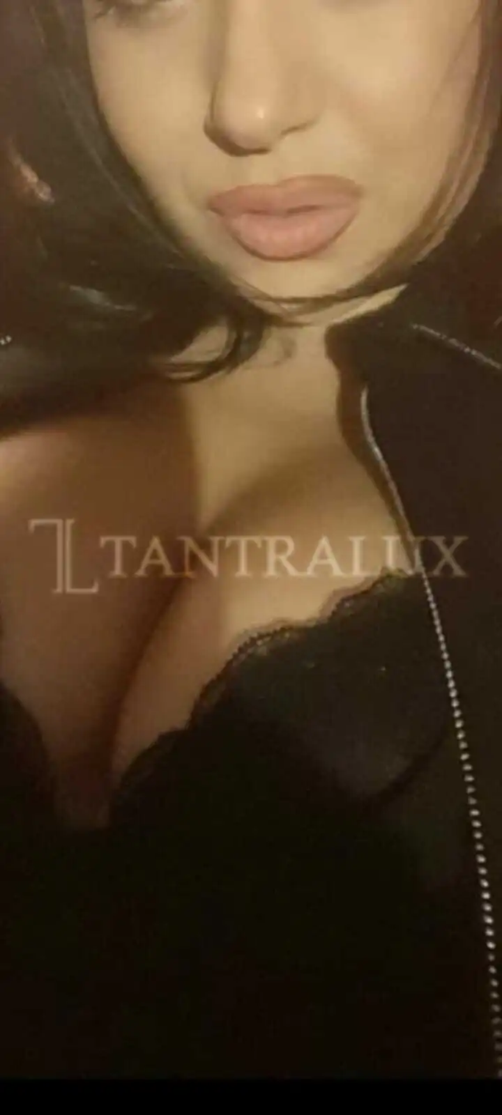 Storia Francesca 15411