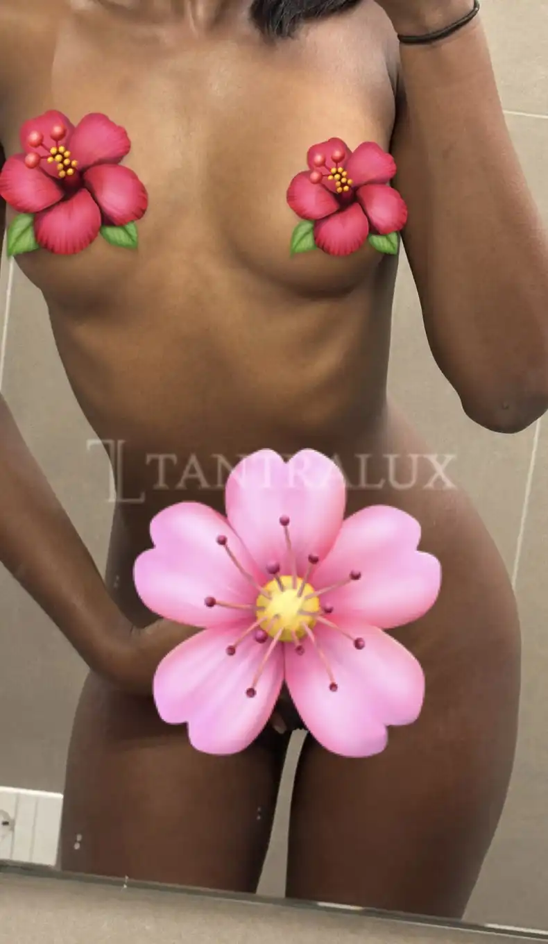 Storia Esmeralda 15566