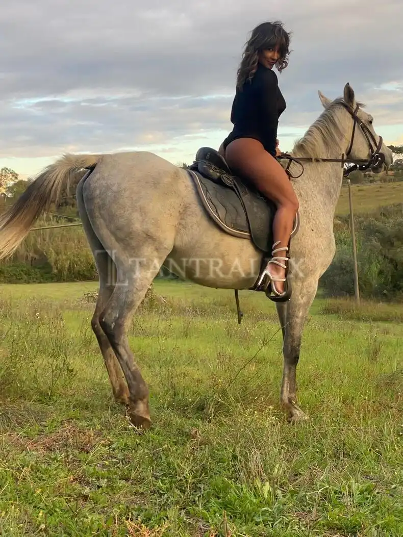 Storia Camilla 15674