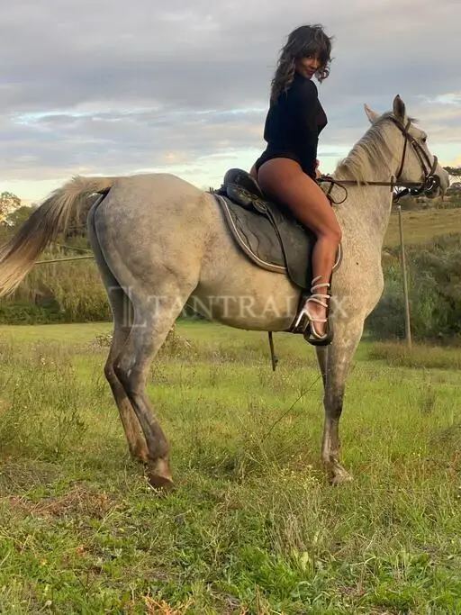 Storia Camilla 15674