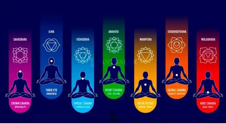 Storia LUDOVICA HOT TANTRA/NURU 17898