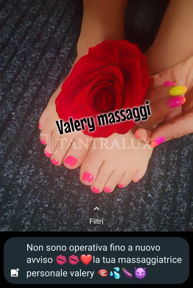 Storia Valery Milkingtable 5716