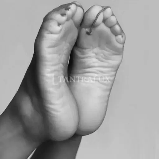 3532185150 Giulia 100289