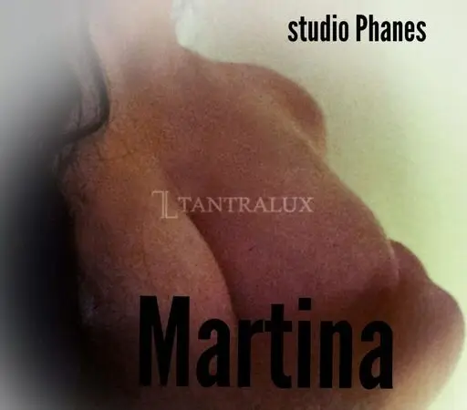 3515380665 studiophanes 104022