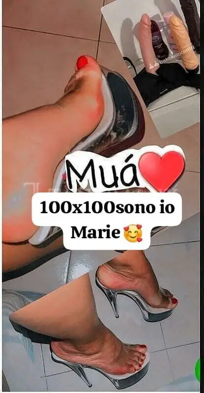 3520826579 Mariee 104154