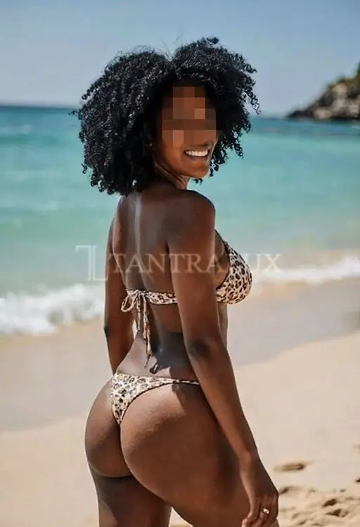 3882424199 Carolina 105066