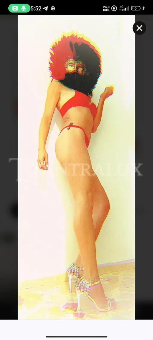 3277678913 Ambra 111528