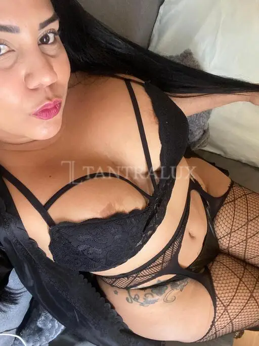 3520816684 Nicol 116650