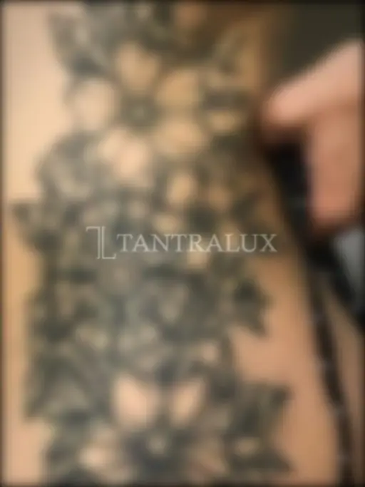 3247437353 3247437353 7203