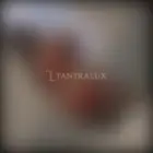 3899362654 3899362654 7787