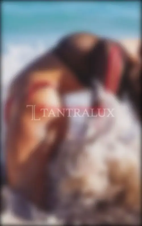 3293423623 3293423623 12326