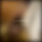 3773972603 3773972603 24712