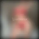 3445078489 3445078489 33442