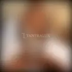 3923635019 3923635019 35215