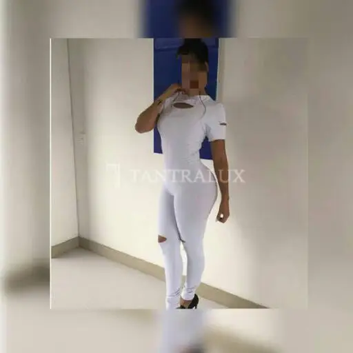 3512650087 Lysa 71978