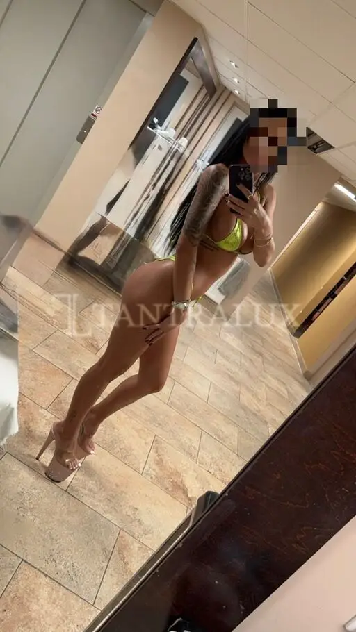Carina - 3336858548