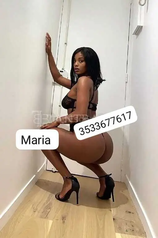3533677617 Maria 74519