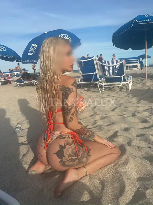 3808692611 Sofia Italiana 74611