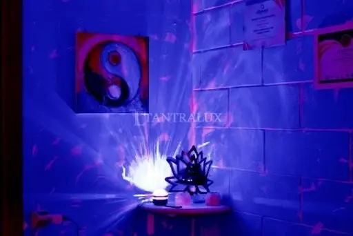 3513364648 Debora 74748