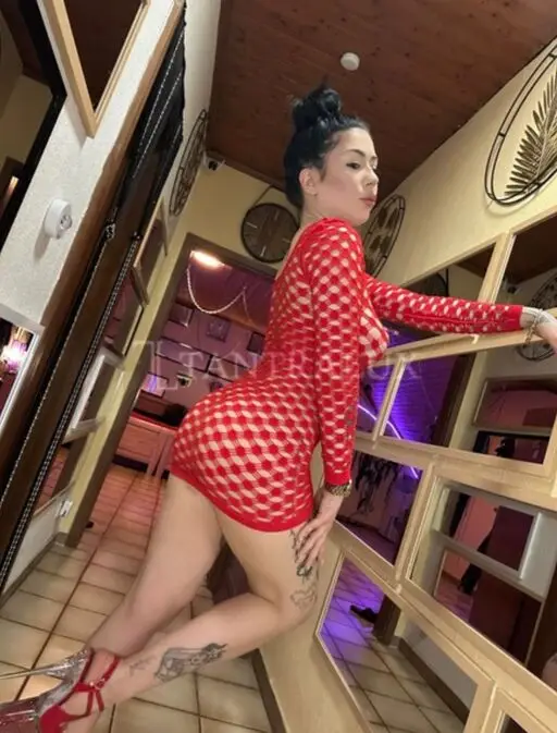 3474668480 Sara 74870