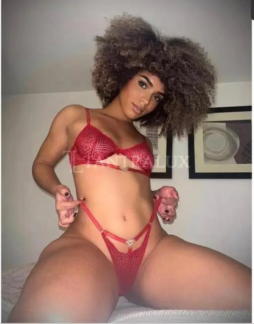 Lulu - 3534720265