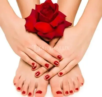 3508796628 Rosa 77177