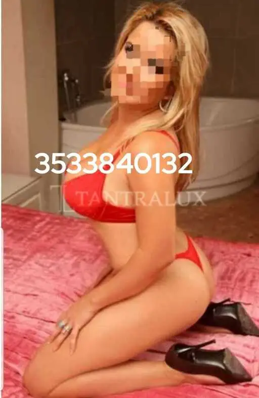 3533840132 Rosa 40057