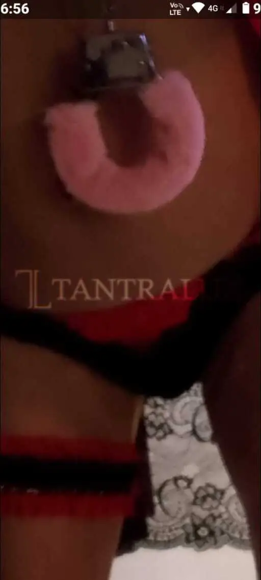 3280427529 Marta 77431