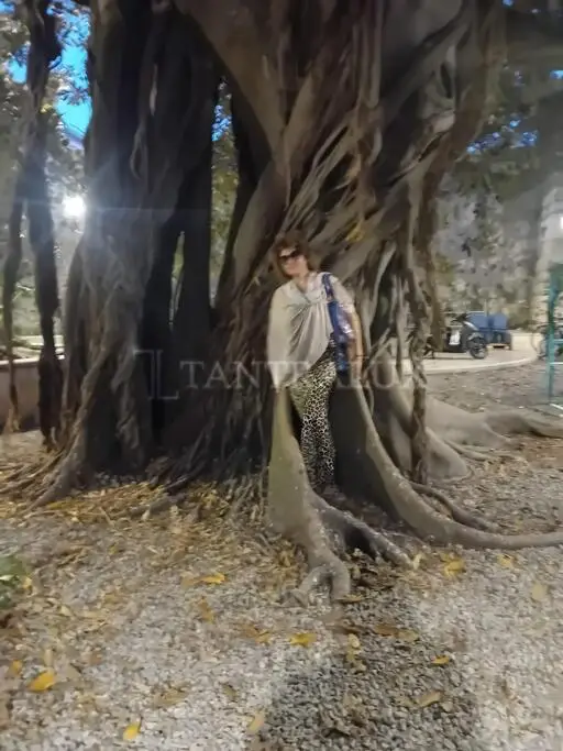 3273544455 Karolina Paradiso 78533