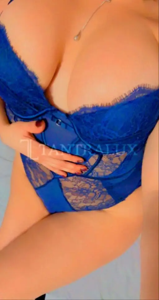 3508900911 Stefani 79598