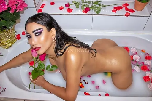 3926335494 Vittoria 81749