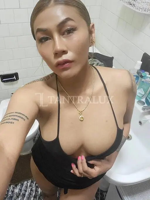 3477940920 Stella 82322