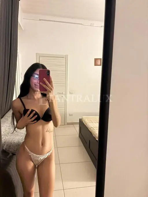 3519969331 Stella 41128