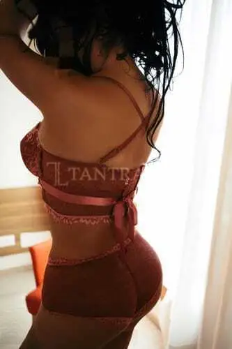 3292345400 Vale 83316